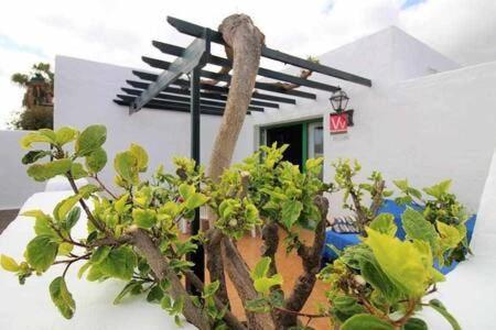 Sa Calma Beach House Costa Teguise Exterior foto
